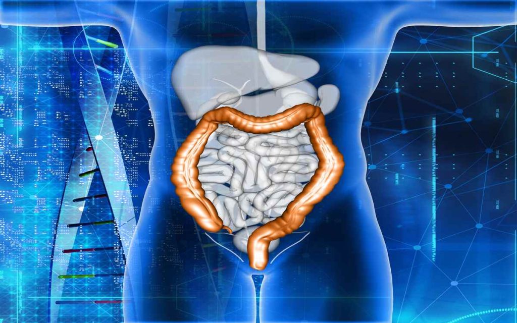 Microbiota intestinal