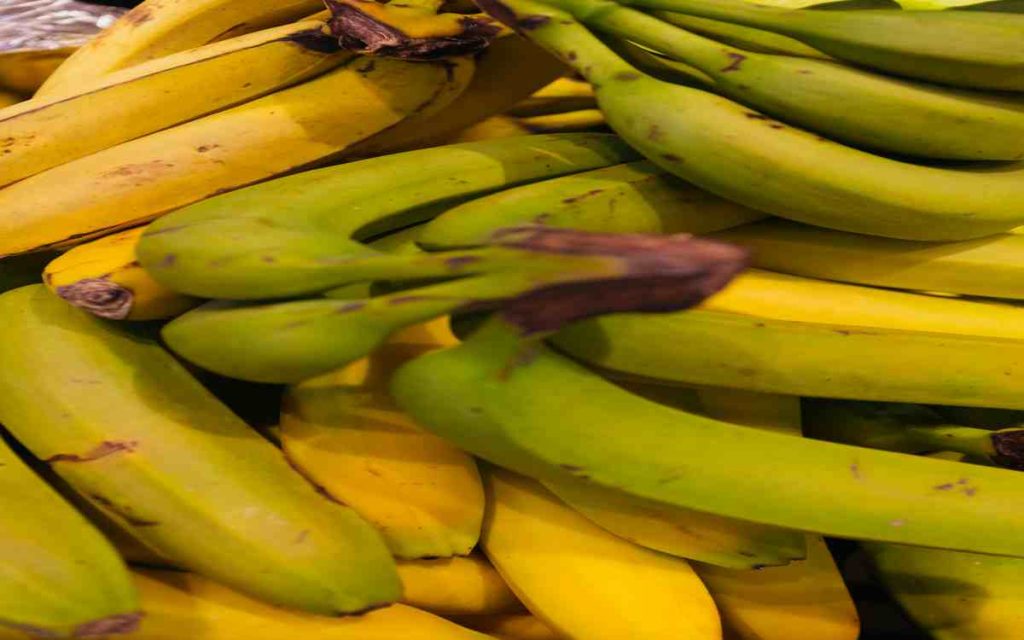 Propiedades del platano